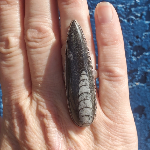 New Oversized Orthoceras Fossil 925 Silver Statement Ring. - Picture 6 of 16